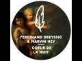 Ferdinand Dreyssig & Marvin Hey - Coeur De La Nuit (Worakls Remix)