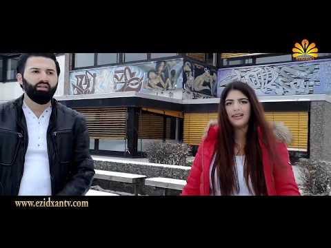 Ezidxan TV / KOMA ZERDESTE KAL / Narînê / Official Video Clip 2019