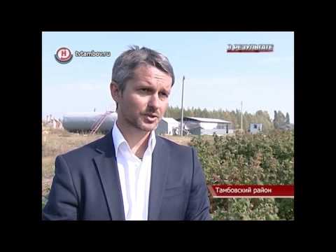 репортаж Тамбовские Сады