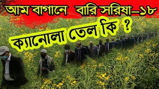 বারি সরিষা-১৮ বিশ্বে সেরা তেলের মধ্যে একটি (ক্যানোলা তেল) ! BARI Sarisa-18 vs Bari Sarisa-14