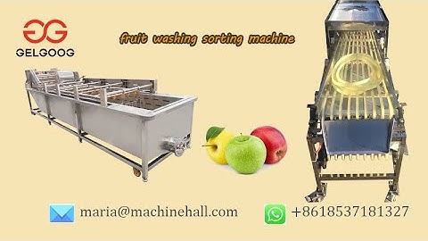 Fruit Washing Sorting Machine Factory Price Video