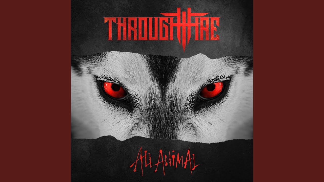 Who Sang The 80s Song Listen To Your Heart Who Sang The 80s Song Listen To Your Heart