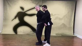 Durning Karate - Wings of Silk