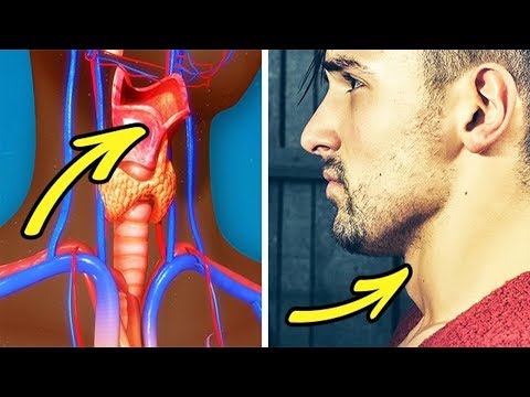 8 حقائق لم نكن نعرفها عن جسد الرجل 