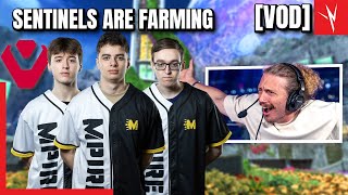 Sentinels Have Been Going Crazy In Scrims! - NiceWigg VODs