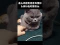 主人の指を自分の懐にしまい込む猫さん