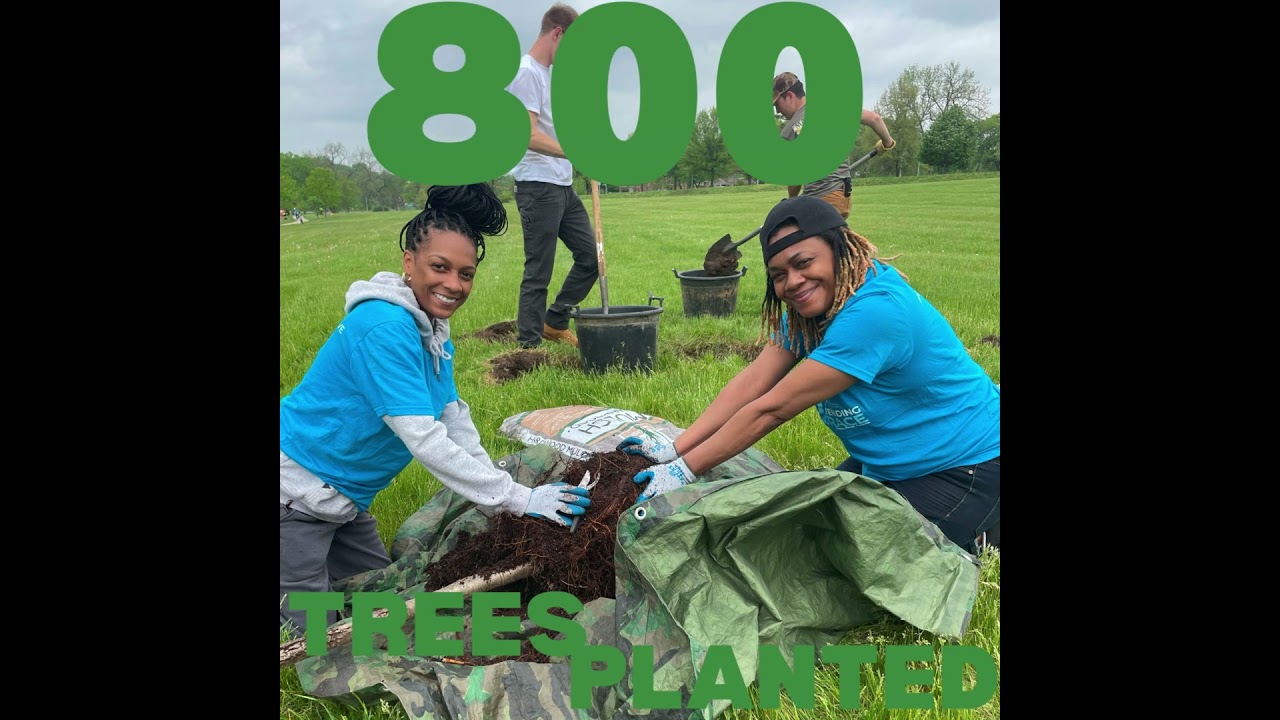 Fall 2024 Heartland Tree Alliance Program Recap