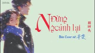 [Vietsub/Pinyin] Đừng Ngoảnh Lại《别回头 - Bản Cover Nữ 辛雯》
