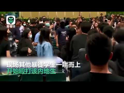 颠倒黑白！香港暴徒假摔“碰瓷”内地学生 视频全程还原真相