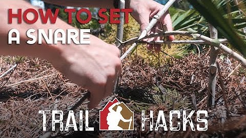 How to Set a Snare - Trail Hacks