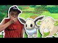 POKEMON GO LETS GO PIKACHU SHINY HUNTING HUNT CONTINUES