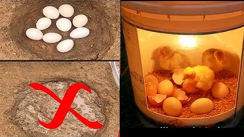 HOW TO MAKE INCUBATOR WITH YOUR OWN HANDS// BEST LOW COST HOMEMADE INCUBATOR FOR CHICKEN EGG