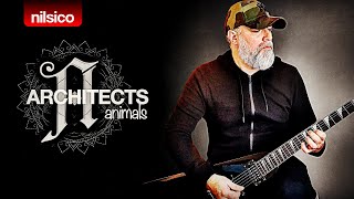 ARCHITECTS - Animals - Guitar Cover