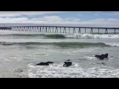 - Little Rincon / Mussel Shoals 5 [SurfSpot Video] - YouTube