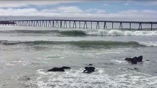 - Little Rincon Mussel Shoals 5 Surfspot Video