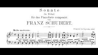 Schubert: Piano Sonata in B-flat Major, D.960 (Kovacevich)