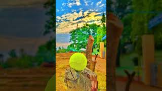 ball #lifeisbutadream #love #song