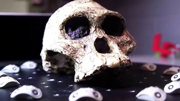 Turning the Minneapolis Institute of Art into an interactive puzzle