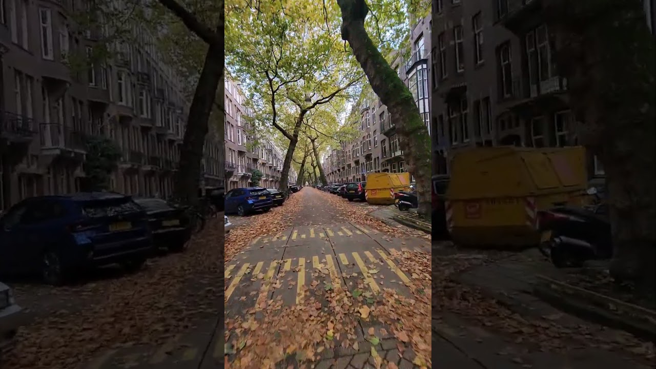 Fatbike at 40 in Amsterdam on Lomanstraat 
