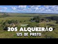 ESSA EA FAZENDA MAIS LINDA DA REGIÃO DE BRASIL NOVO NO ESTADO DO PARÁ 😳😱 confiram!!