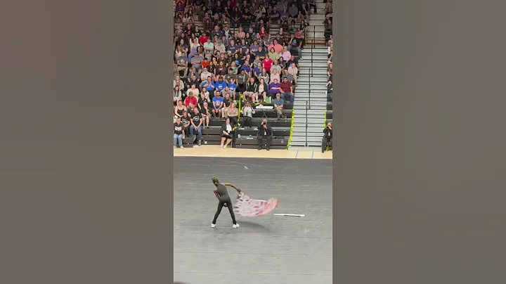Wgpo solo state contest winter guard amazing flag#dance #wgi #guard #winterguard #solo #baddie #flag