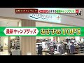 【ワークマン】おすすめキャンプグッズ【5時スタランキング】（2022年4月11日）