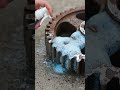 Rusty Steel Gear Wheel Transformation – Satisfying Industrial Rust Removal