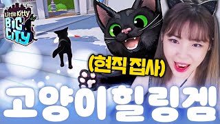 저기.. 우리집에 고양이 보러갈래? 😽 | 리틀 키티, 빅 시티