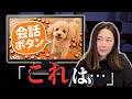 犬は本当に人の言葉が分かるのか?会話ボタンのカラクリから学ぶこと
