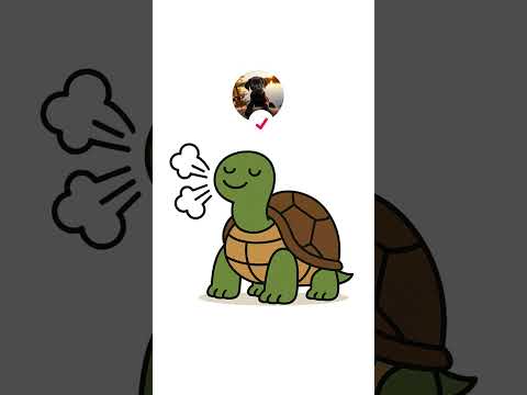 Deshalb leben Schildkröten so lange 🐢 #schildkröte #tiere #Umweltbildung #EinfachErklärt