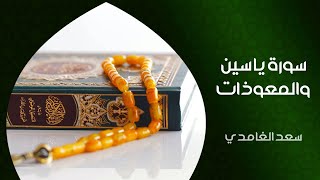 الشيخ سعد الغامدي - سورة يس والمعوذات (النسخة الأصلية) | Saad Al Ghamdi - Surat Yasin & Al Mauzat
