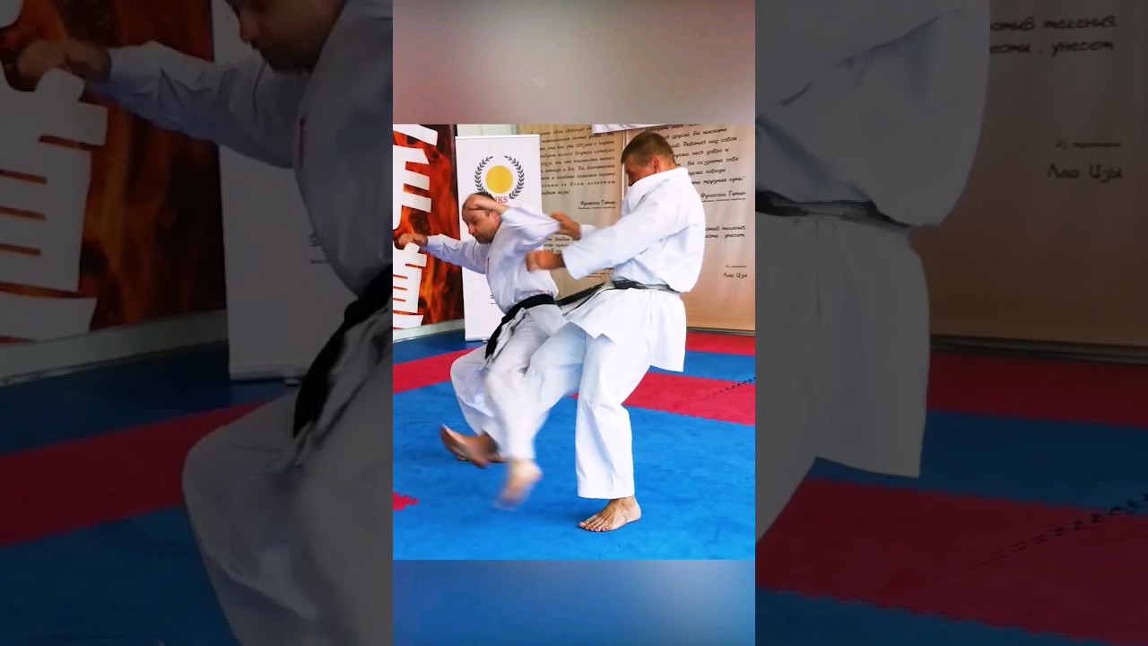 Bunkai Heian Godan 