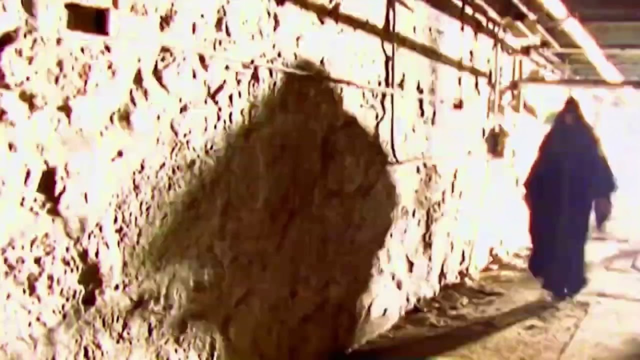 Ministry Of Darkness Undertaker