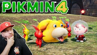 ЧАС ГЕЙМПЛЕЯ PIKMIN 4 // Denis Major