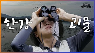 한강에 괴물이 나타났다 70년간 괴생명체만 연구해온 유박사가 찾아가봤습니다.