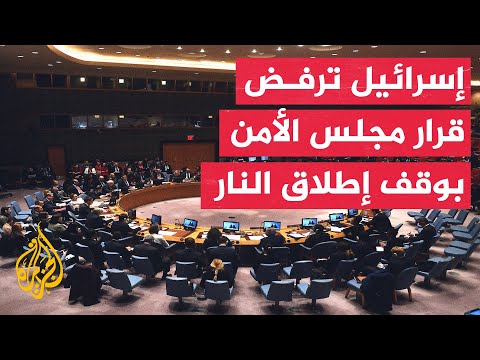 مندوبة مالطا بالأمم المتحدة: من المخيب للآمال رفض إسرائيل قرار مجلس الأمن فور صدوره