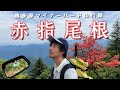 【赤指尾根】奥多摩マニアックハードコース!満開のツツジを目指してひたすら登る!【山ごはん:ごぼうめし】_2024.06.15