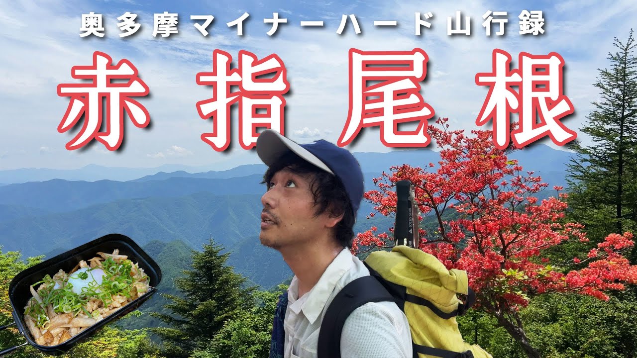 【赤指尾根】奥多摩マニアックハードコース！満開のツツジを目指してひたすら登る！【山ごはん：ごぼうめし】_2024.06.15