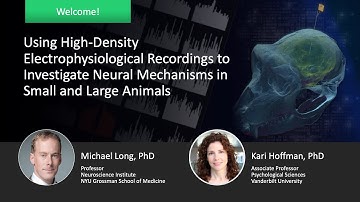 Using High-Density Electrophysiological Recordings to Investigate Neural Mechanisms