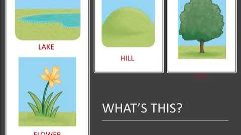 Show and Tell 1 - Unit 5 - Lesson 2