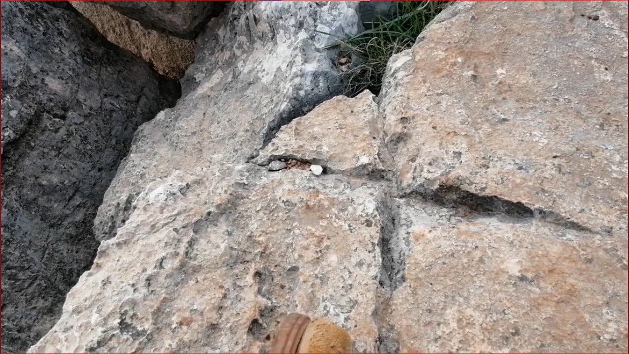 مفاجأه اشاره الزائد➕ وكيف تم تحليلها بالطريقه الصحيحه وهل هي بالفعل اشاره زائد او شيء اخر شاهد ....