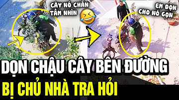 Định trộm chậu cây cảnh, thanh niên nhận ngay pha 