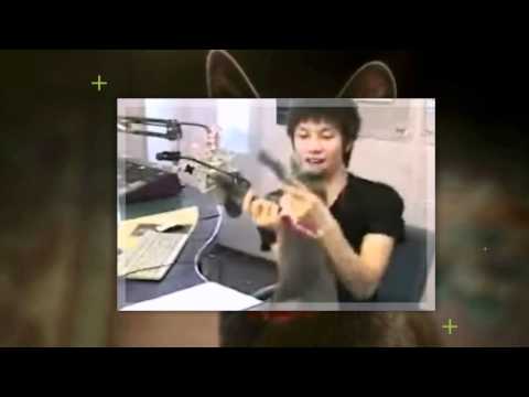【音悦Tai-SuJu饭团】金希澈出道7周年纪念.wmv