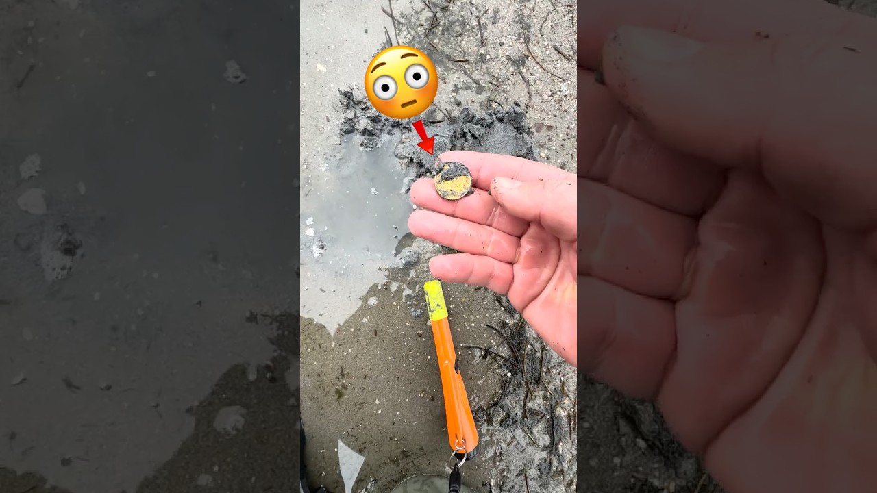 Поиск клада! 