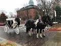 Behind the Scenes of a Holiday Carriage Ride