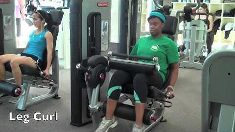 Leg Curl/ Leg Curl Machine