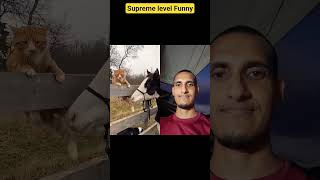 Supreme Level Funny #Funny #hitshorts #funnyvideos #funnyshorts