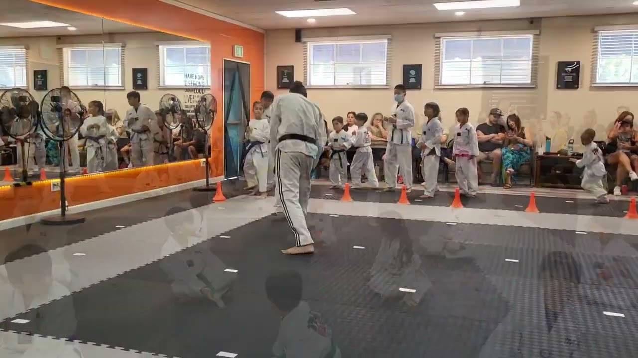 Belt Promotion Test (Level 1)