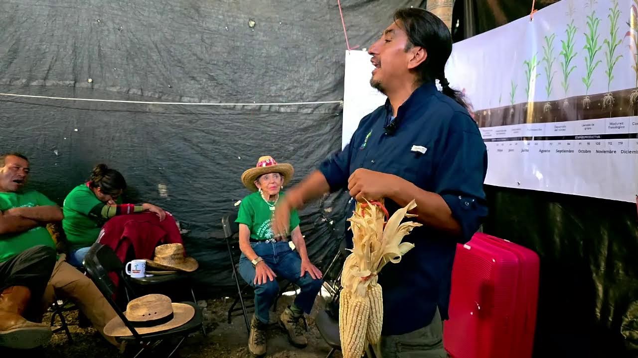 Por que les cuesta tanto a los agricultores cambiar a orgánico
