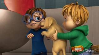 Puppy Love